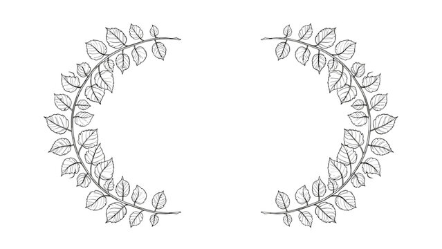 Delicate half circle leaf wreaths hand drawn in black ink line art style isolated on clean white background.
