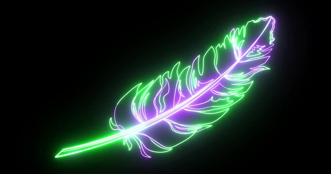 Neon Glowing Feather Outline Animation on Black Background &ndash; Fantasy Magic Feather, Luminous Line Art, Seamless Loop, 4K Motion Graphics with Alpha
