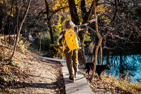 Woman and dog walking on wooden path near forest river on sunny day