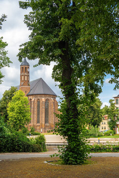 A large deciduous tree frames the view of a historic brick church with a clock tower, set in a green park under a changeable sky