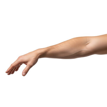 Human Arm and Hand Reaching Forward on transparent background 