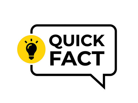 Quick fact speech bubble icon
