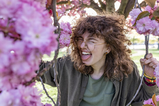 A playful teenager sticks her tongue out among spring cherry blossoms
