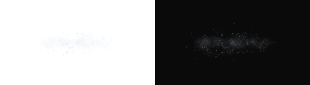 PNG image of Fluffy dandelion seeds floating gently in wind currents creating soft artistic motion blurred patterns rendered in white on transparent background
