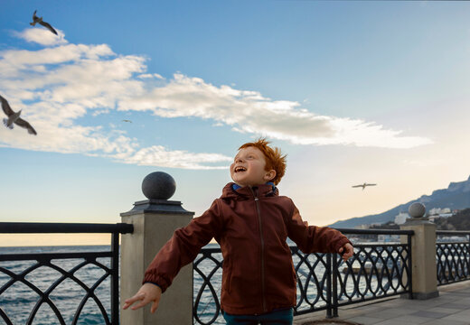 A red-haired boy in a jacket watches seagulls flying by the sea