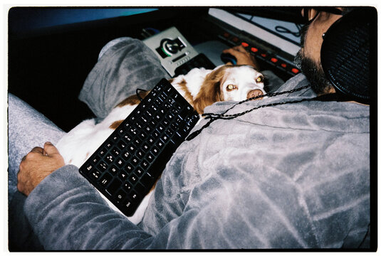 Freelancer works at home office with dog on his lap