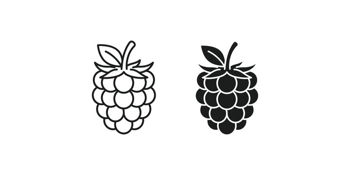 Raspberry fruit icons in outline and solid black silhouette styles for healthy food and berry product branding.