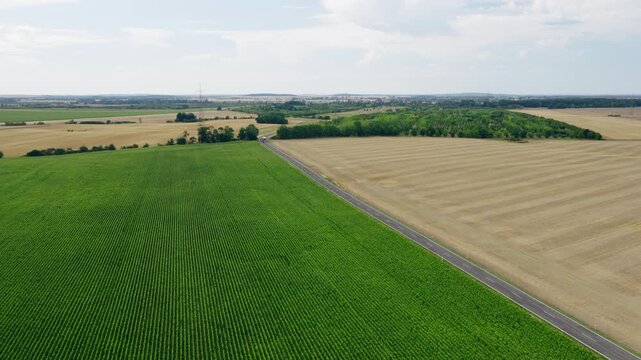 Drone aerial shows contrasting green crops and harvested fields divided by a rural road under a partly cloudy sky.