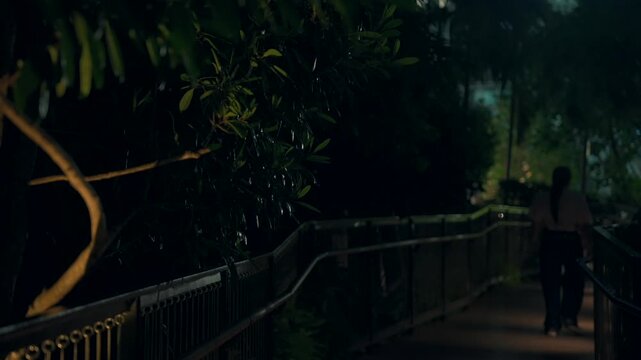 dark walkway with tropical tree leaves at night, pedestrian path by greenery and modern architecture in evening 4k