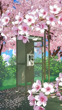 Phone booth and cherry blossoms