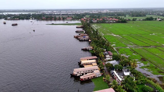 Captivating aerial footage highlighting South India's serene backwater landscape. Lined houseboats and rich agricultural green fields offer a compelling visual asset for tourism ads, agency promos,