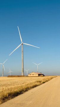Vertical view of a Wind turbines spinning in a golden field next to a country road, producing renewable electricity