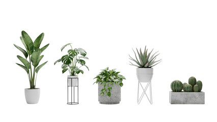 Fototapeta premium Set of various indoor house plants in modern pots isolated on white background.