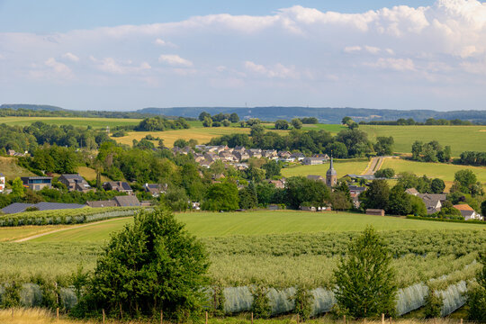Summer landscape, The terrain of hilly countryside, A hamlet on hillside with green grass meadow and tree, Eys is a village in the municipality of Gulpen-Wittem and region in Zuid-Limburg, Netherlands