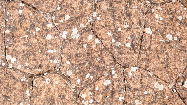 Textura de piedra marr&oacute;n con grietas y manchas blancas