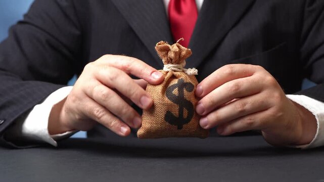 Businessman holds a dollar money bag. Getting a grant. Mortgage, loan approval. Easy Money. Salary, benefits, profit. Attracting investments. Deposit savings. Cashback. Banking and crediting.