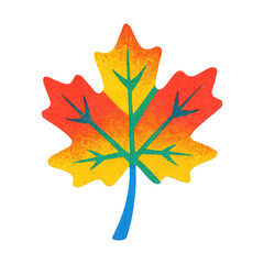 Fototapeta premium PNG Colorful autumn maple leaf illustration.