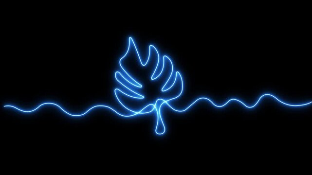 Glowing neon monstera leaf line animation on black background, minimalist botanical motion line continuous line