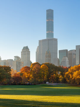 Central Park autumn colors at Sheep Meadow with the Midtown Manhattan skyline in soft warm morning light. New York City, USA