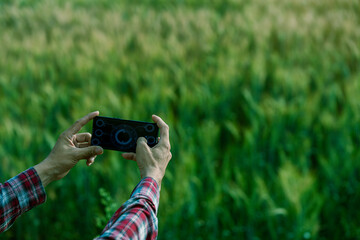Fototapeta premium A farmer holds a digital tablet to monitor the growth of golden wheat; a smart farming concept. A close-up view of a ripe barley field during the harvest season.
