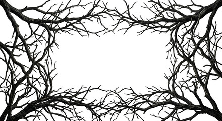 Fototapeta premium Spooky dark dead tree branches rectangular frame on transparent background 