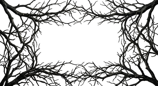 Spooky dark dead tree branches rectangular frame on transparent background
