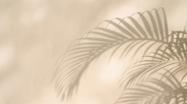 Tropical palm leaf shadow on neutral beige textured wall background