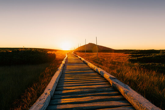 Scenic landscape view of empty wooden boardwalk path over peat bog leading towards Snezka mountain peak during morning dawn sunrise in Krkonose National Park Czech Republic. 