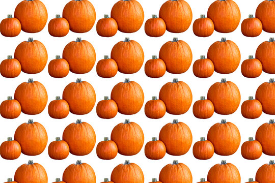 Ripe pattern of orange pumpkin,ready to cooking