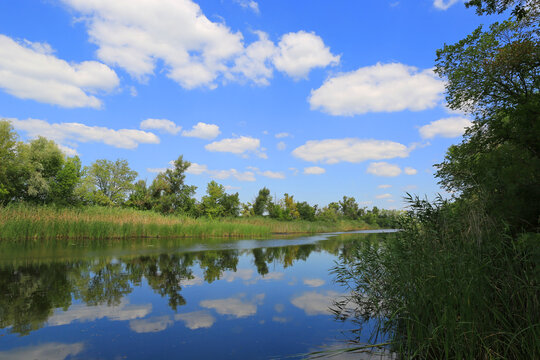 Serene river reflecting blue sky with fluffy white clouds and lush green trees