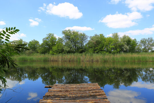 Wooden dock on tranquil lake surrounded by lush green trees and reeds under a blue sky