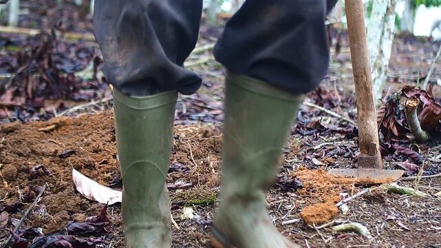 Close-up of farmer in rubber boots using a hoe to dig and prepare soil in an agricultural field for planting.