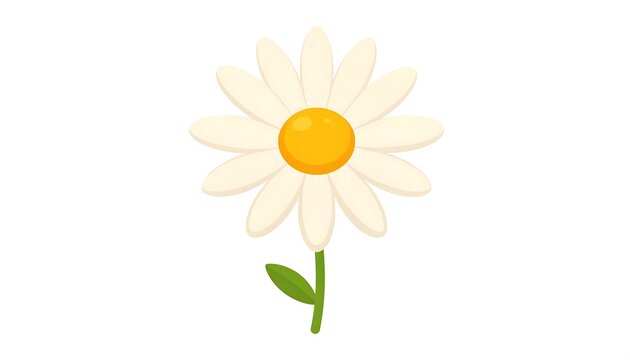 Cute Cartoon Daisy Flower Icon Isolated on White Background for Nature Floral and Garden Illustration