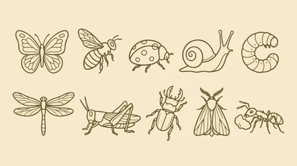 Obraz premium Vintage insect line art collection, 10 garden bug vector icons. Minimalist butterfly and beetle illustrations for nature branding.