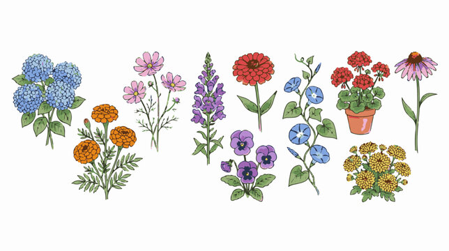 Vintage botanical garden flower set, hand drawn floral vector collection, colorful summer blooms for wedding stationery and greeting cards