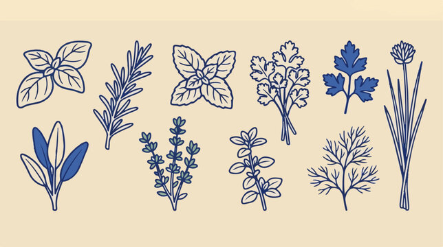 Vintage culinary herbs vector set, hand drawn blue botanical line art, organic kitchen spices collection for food packaging