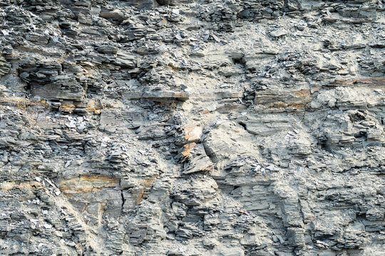 Quebec, Canada, 28 July 2026 : A detailed view shows the layered texture of a weathered rock face with numerous fragments.