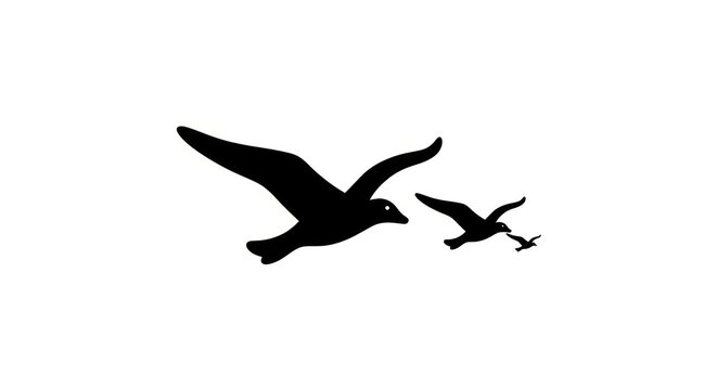Two birds flying in formation.