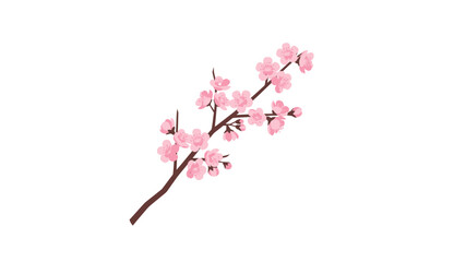 Fototapeta premium Pink Cherry Blossom Branch Illustration on White