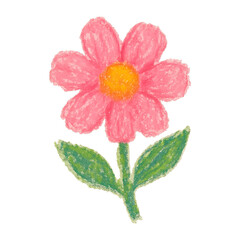 Fototapeta premium PNG Colorful crayon flower illustration