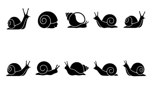 Minimal Black Snail Silhouette Vector Collection Featuring Crawling Resting and Emerging Poses with Spiral Shell Variations
