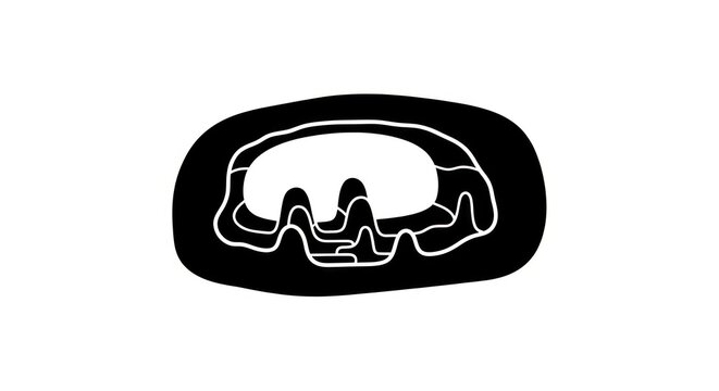 Abstract black and white graphic design.