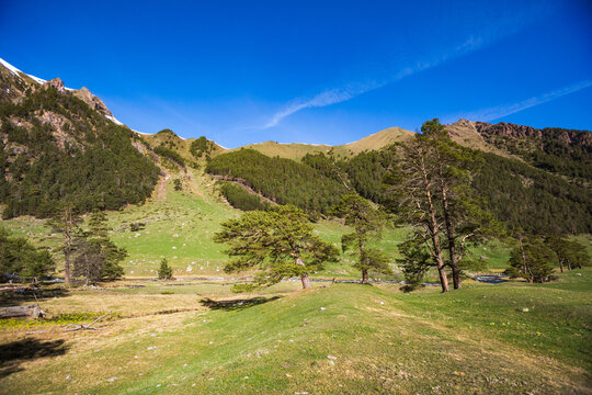 Caucasus Mountains spring landscape. Karachay-Cherkessia republic, Russia