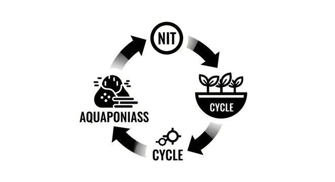 Aquaponics system diagram with cycle.