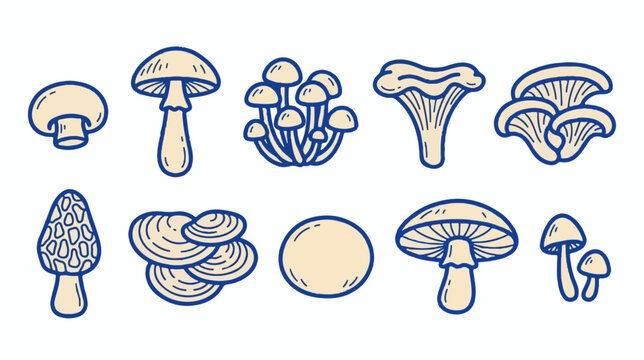 Minimalist mushroom vector icons, hand drawn fungi collection, 10 organic forest mushroom illustrations for culinary and nature design