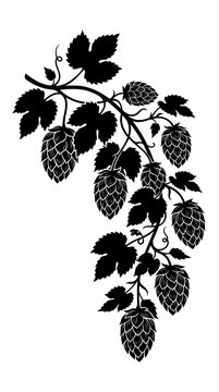 Vintage hops branch silhouette, black hop cones and leaves on white background, brewery and craft beer branding element