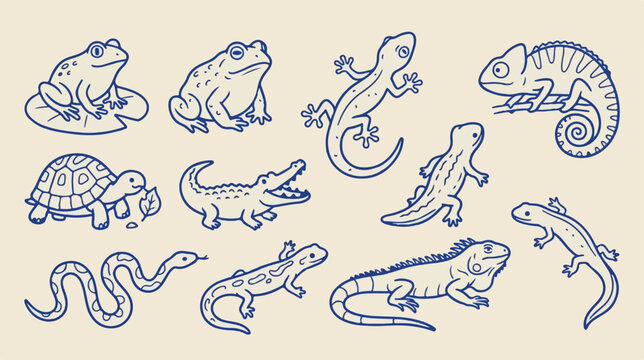 Vintage reptile and amphibian line art collection, hand drawn lizard and frog vector set, 11 wildlife animal illustrations for nature branding