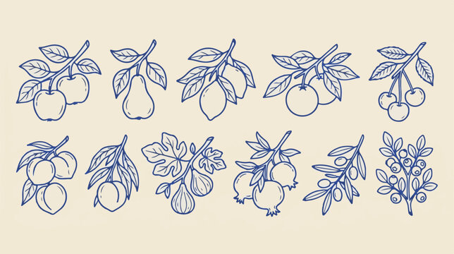 Vintage fruit line art collection, 10 botanical fruit branch illustrations, blue ink sketch fruit vectors for packaging