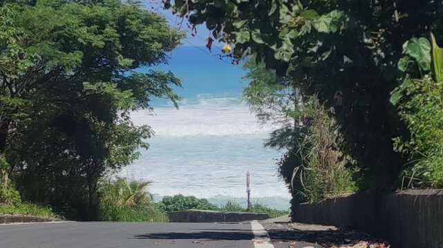 Jingang Avenue, Changbin Township, Taitung County, Taiwan-Aug 8, 2026:The Jingang Avenue, Changbin Township, Taitung County, Taiwan