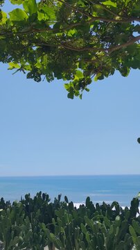 The Prickly Coast, a scenic coastal area in Donghe Township, Taitung County, Taiwan
